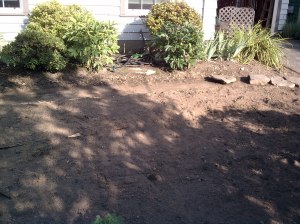 Yard Before (1)